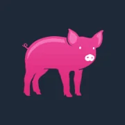Logo de Raise Financial