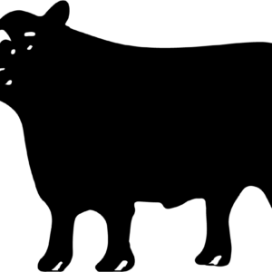 Logo de San Gabriel